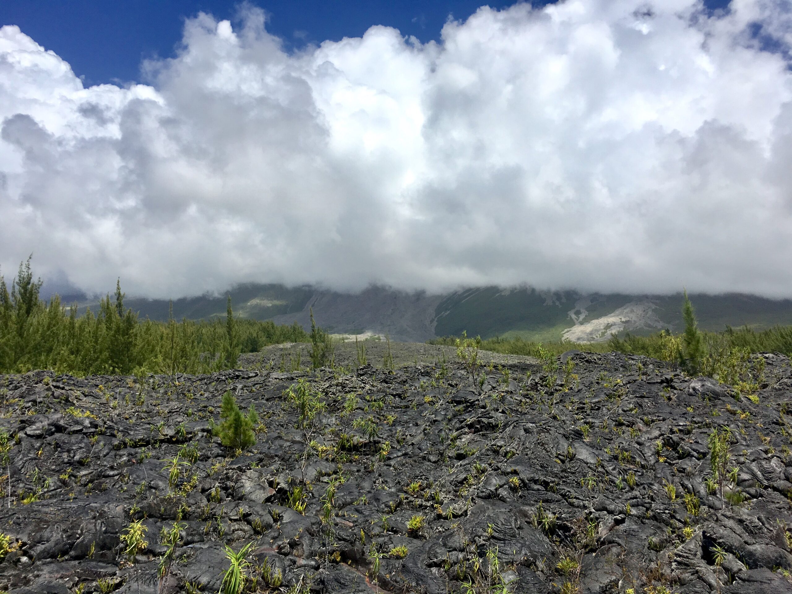 Lavafelder im Osten des Piton de la Fournaise