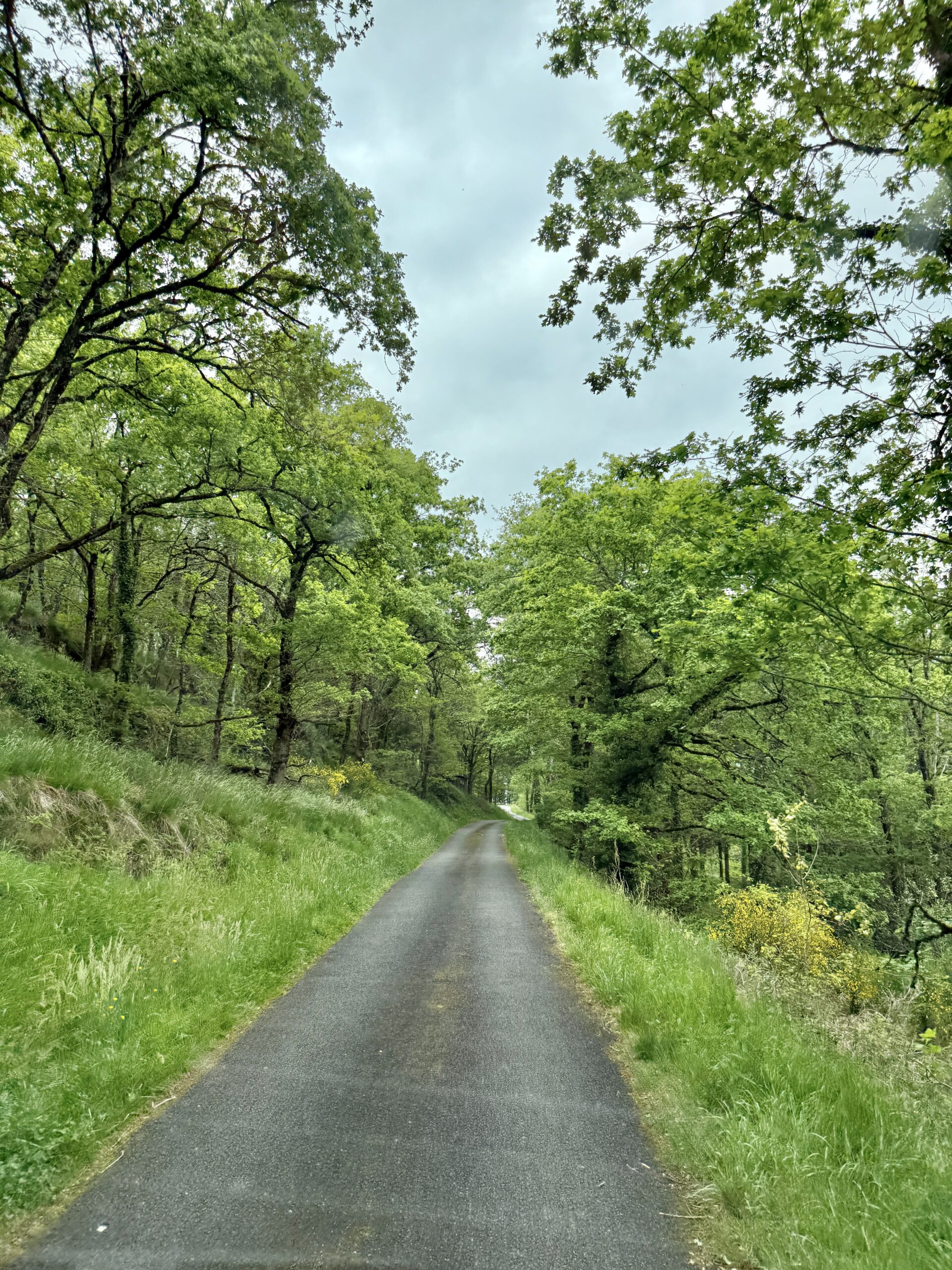 En route
