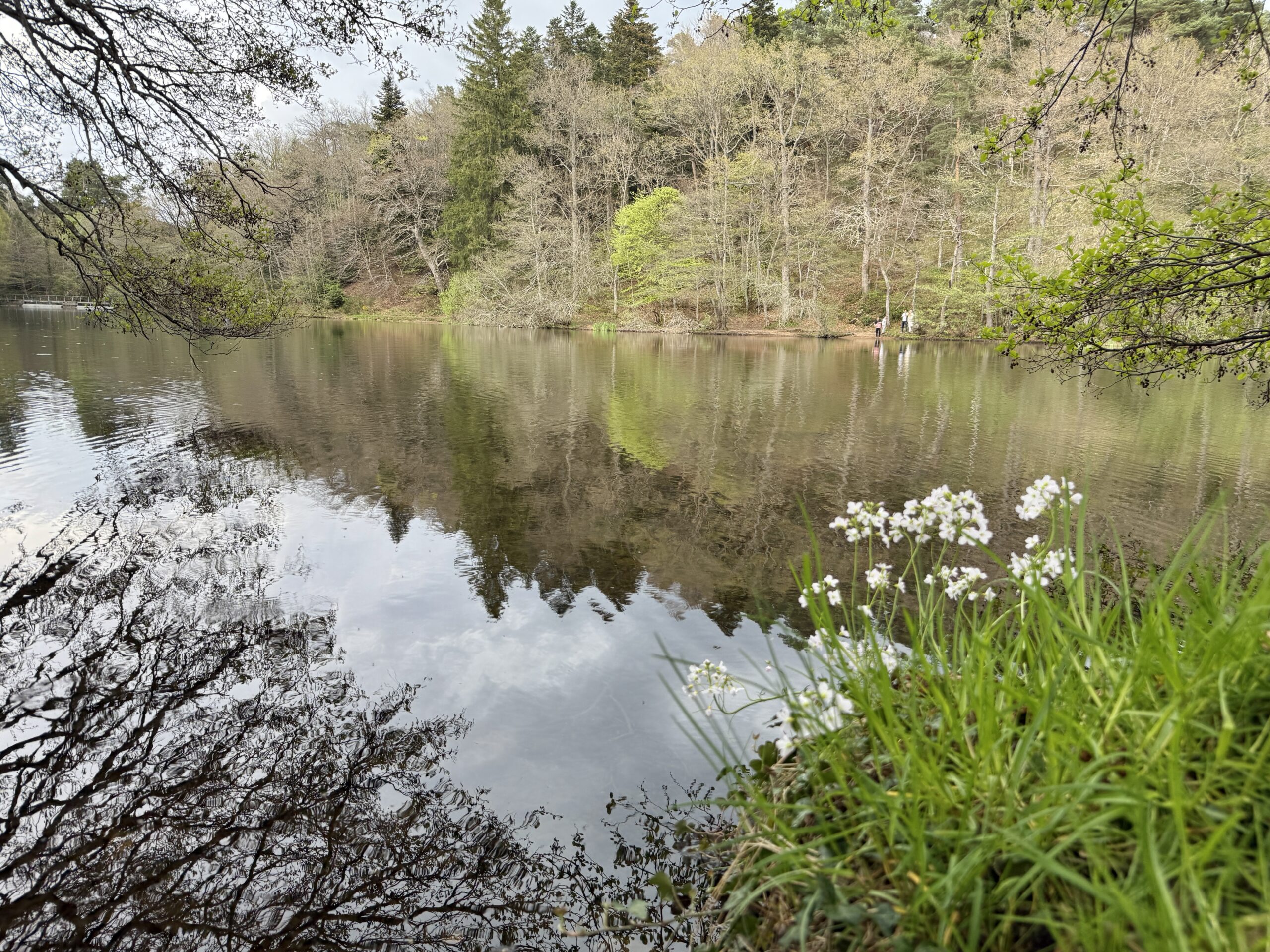 Lac d'Aydat