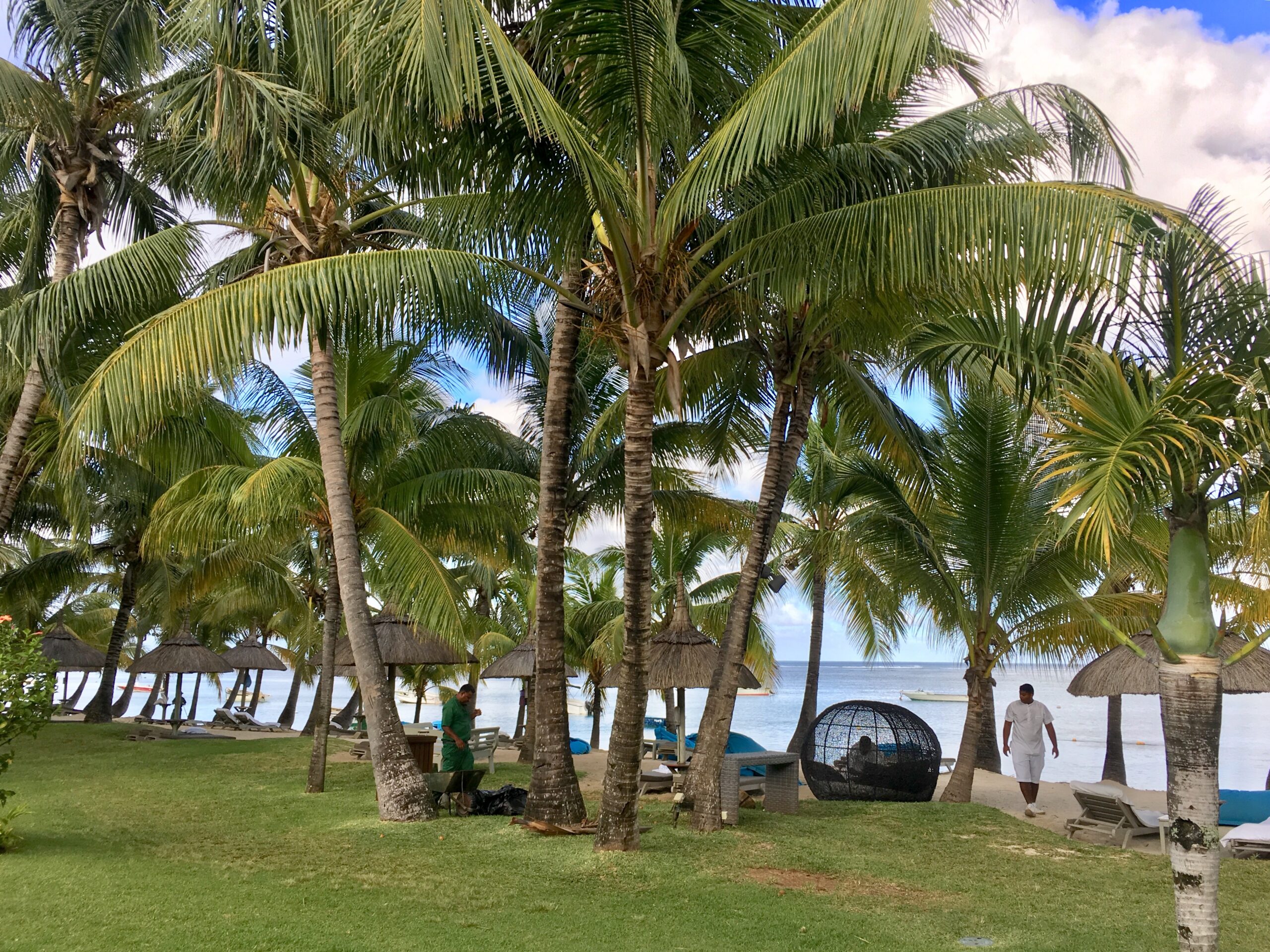 Le Morne 3
