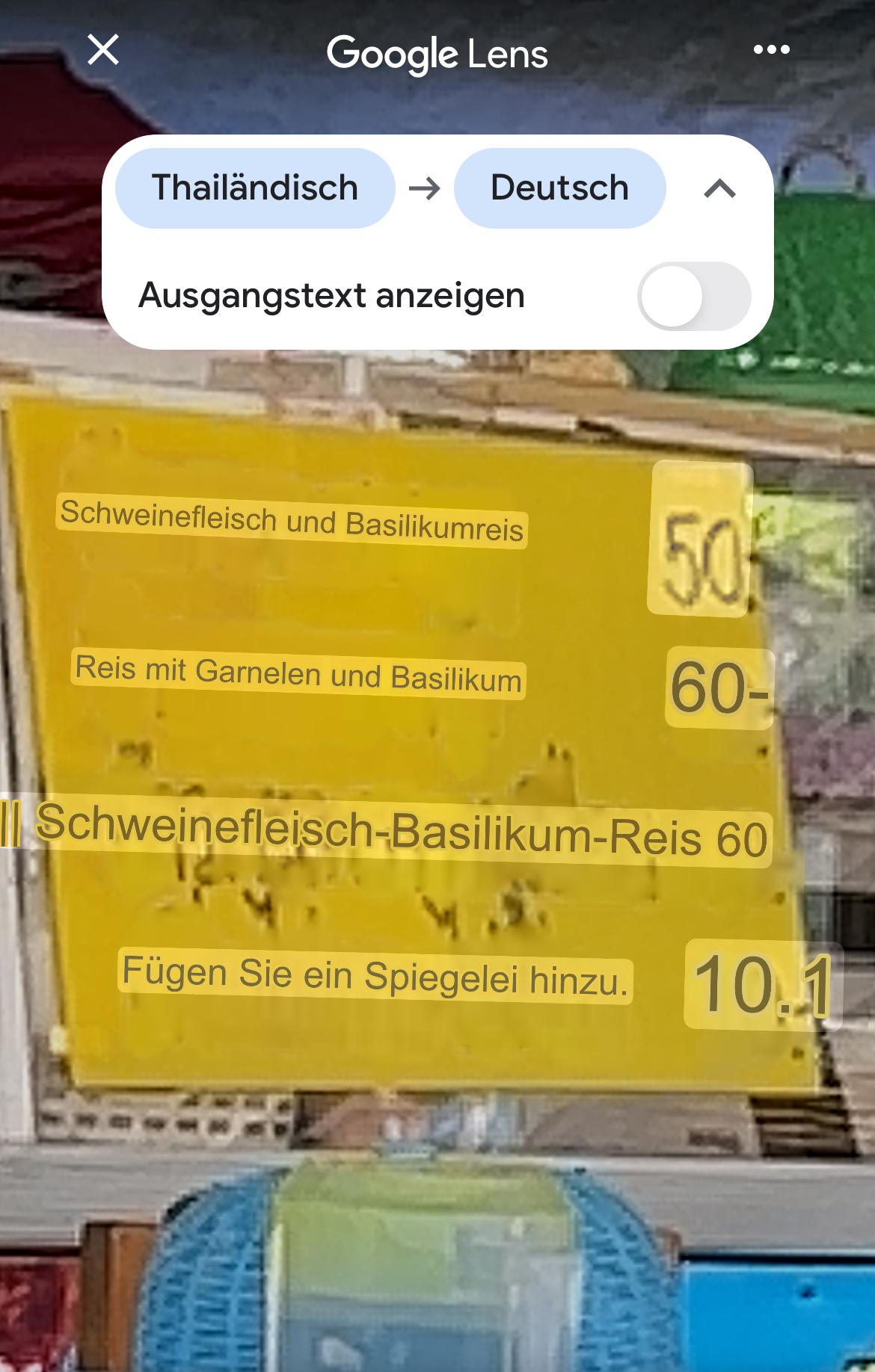Google Übersetzer hilft beim Verstehen