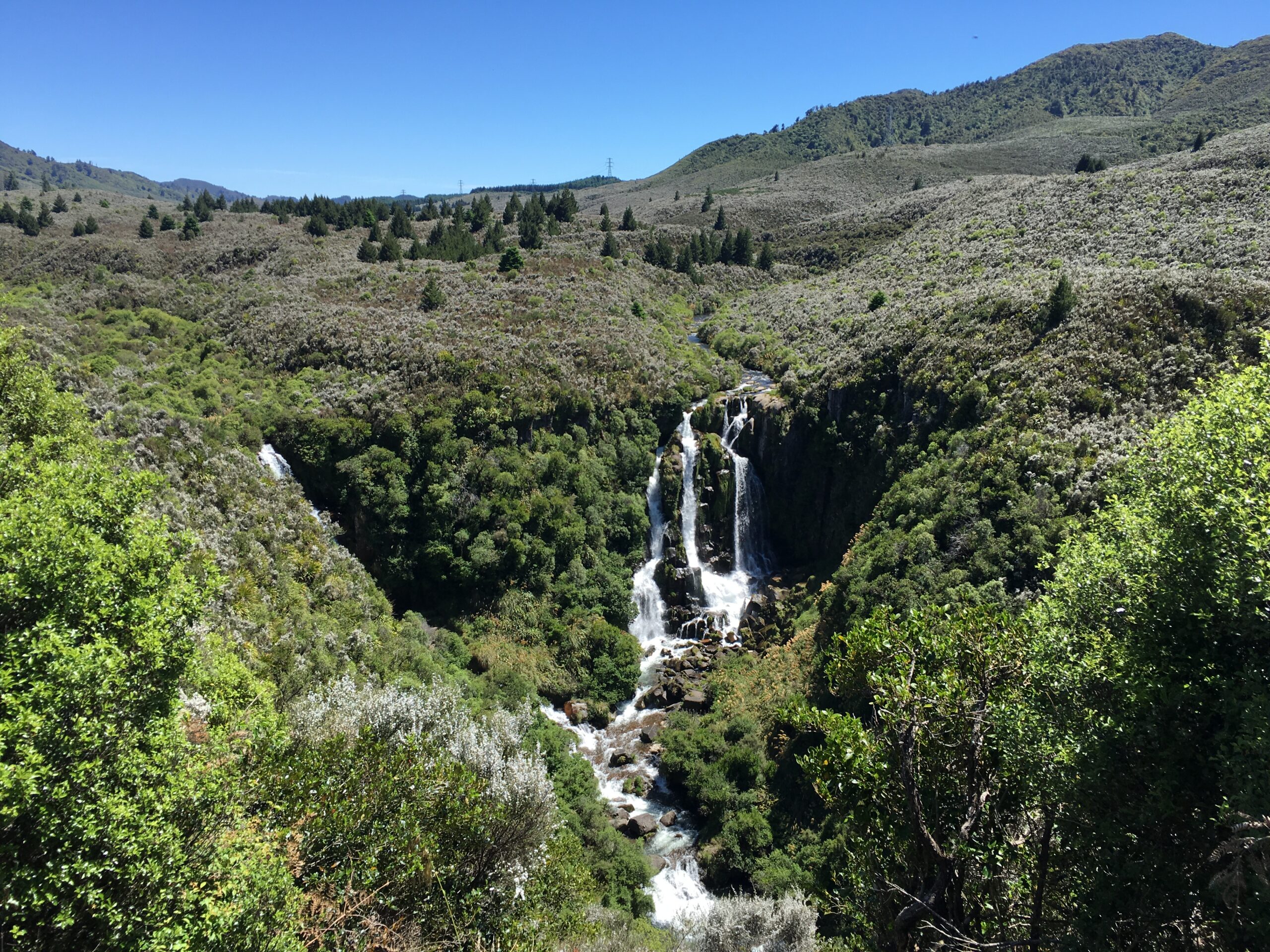 Scenic Lookout