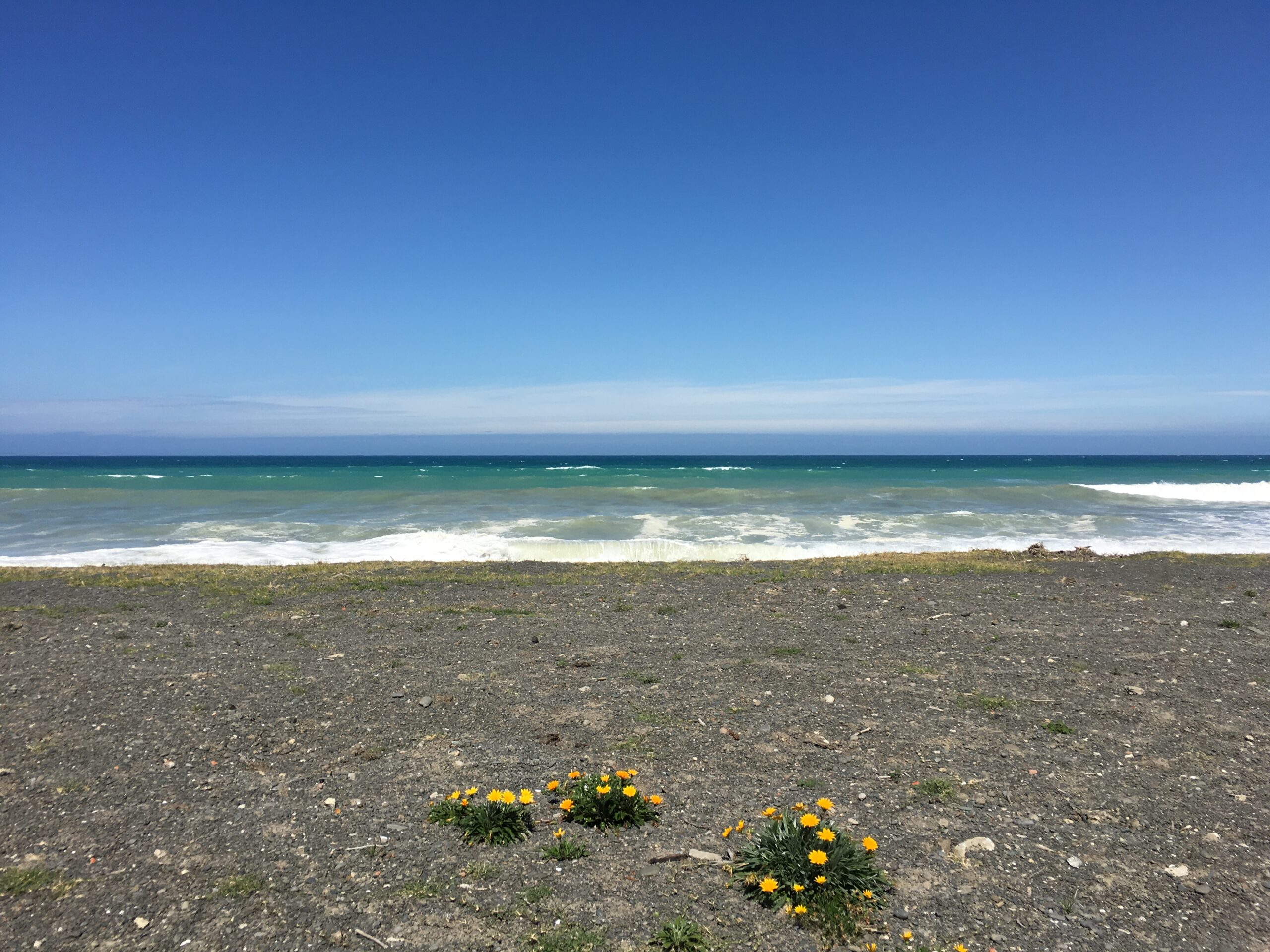 Pacific ocean