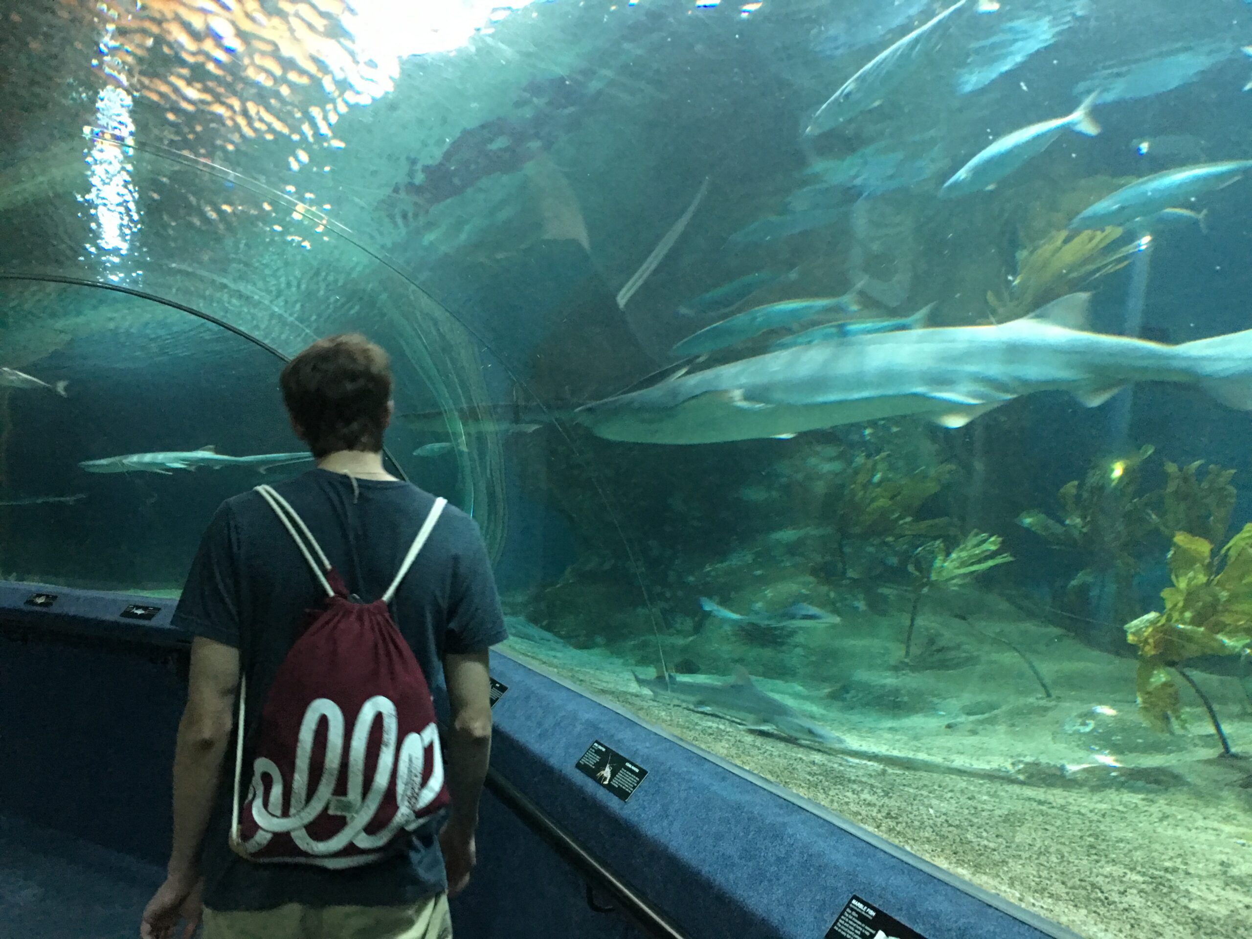 Simon with shark