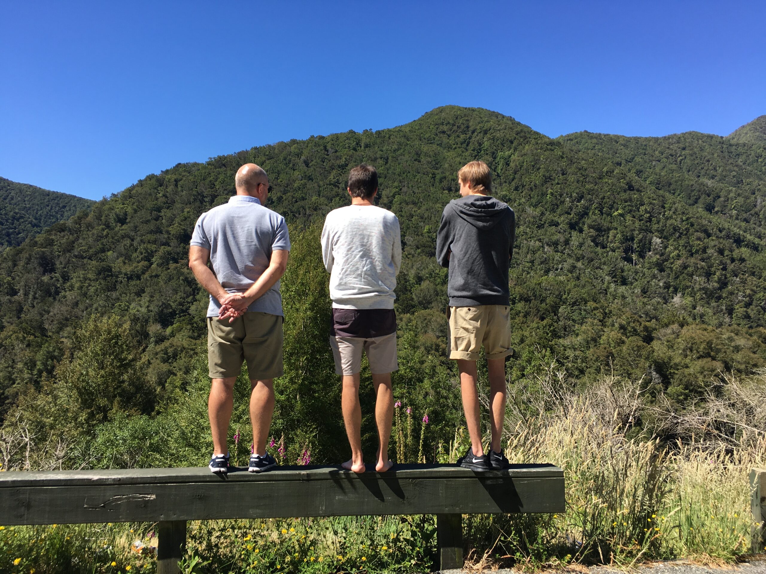 Looking down on Buller River