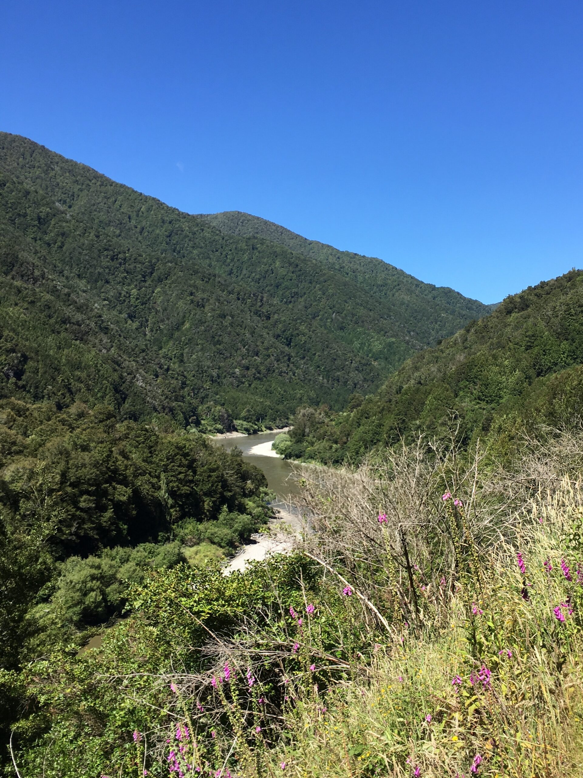 Buller River