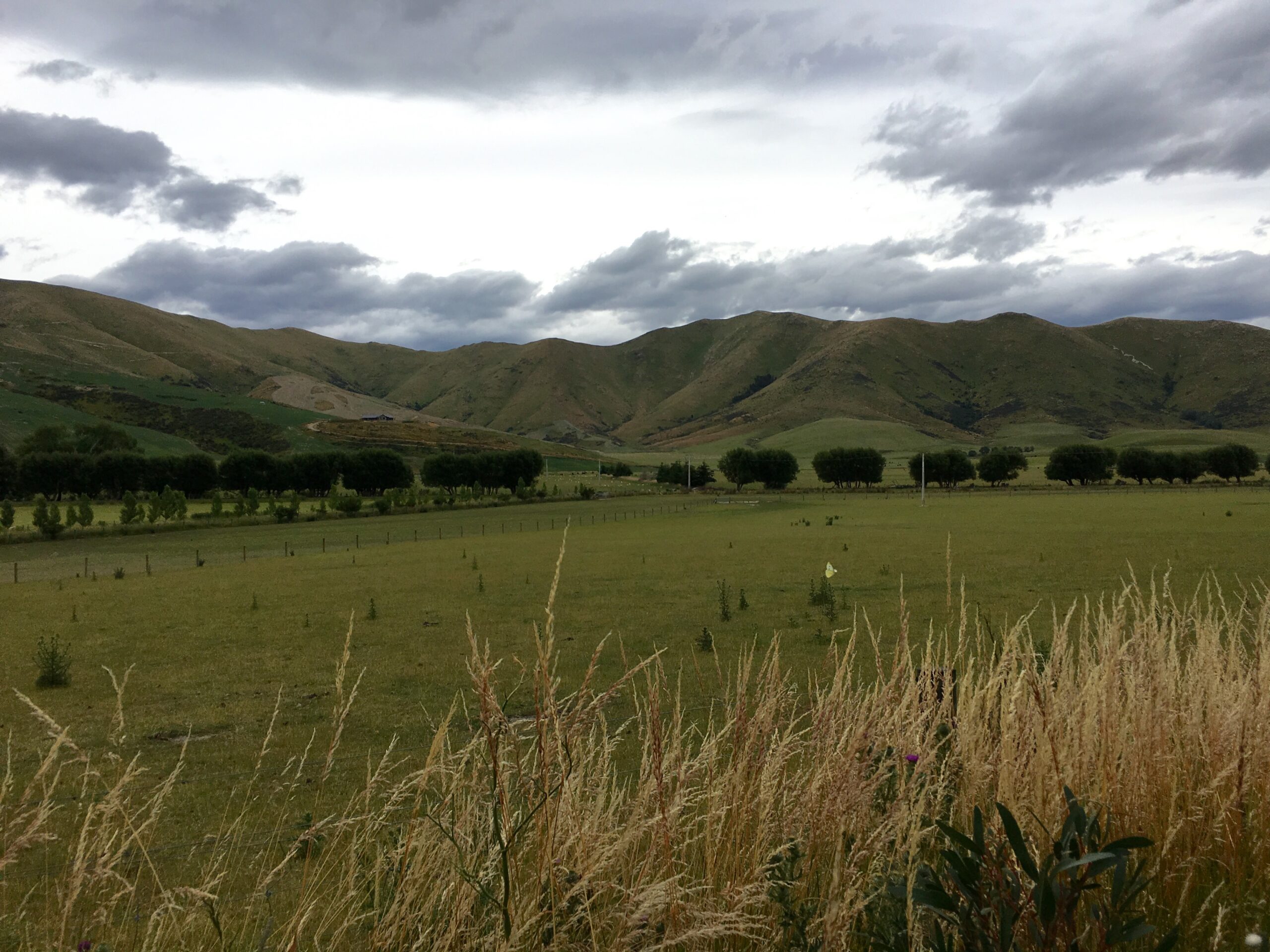 Wide fields