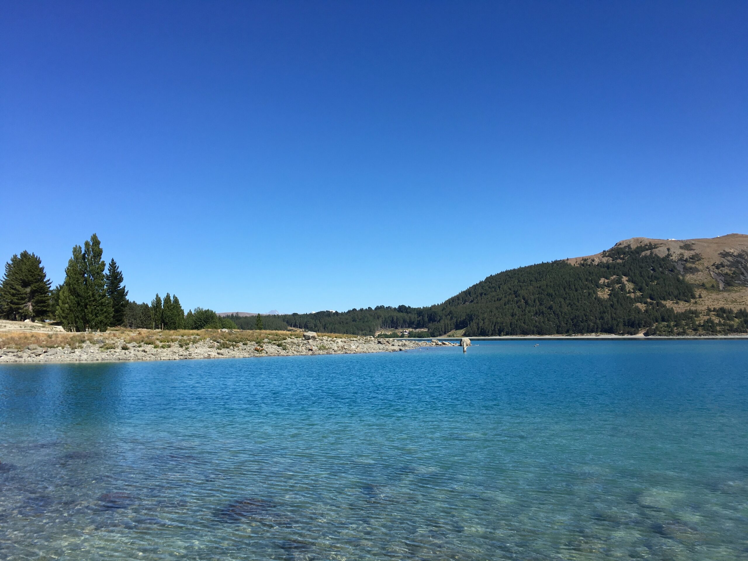 Lake Tekapo – Christchurch