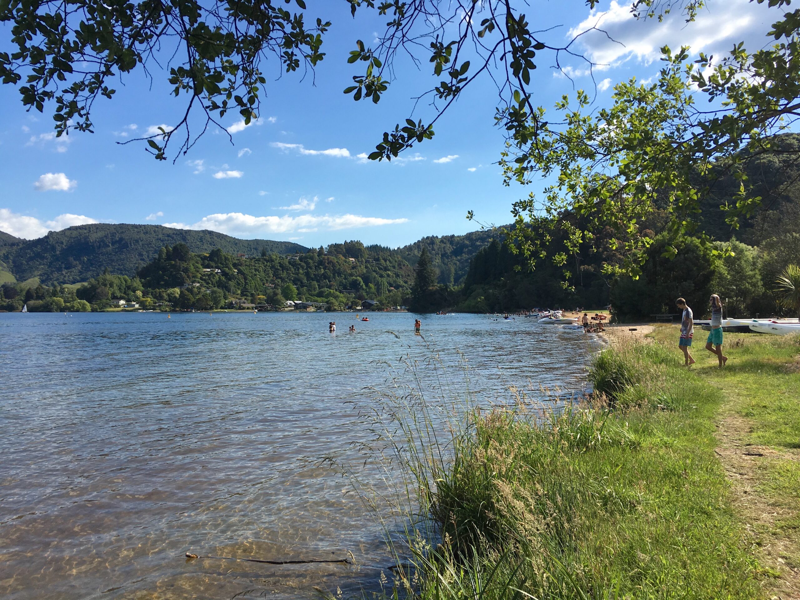 Boyes beach at Lake Okareka