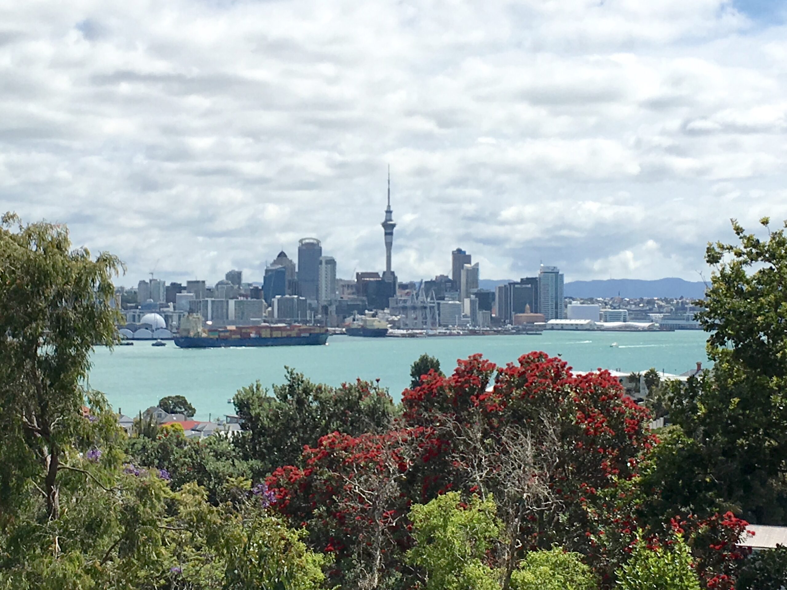 The city with Pohutukawa trees