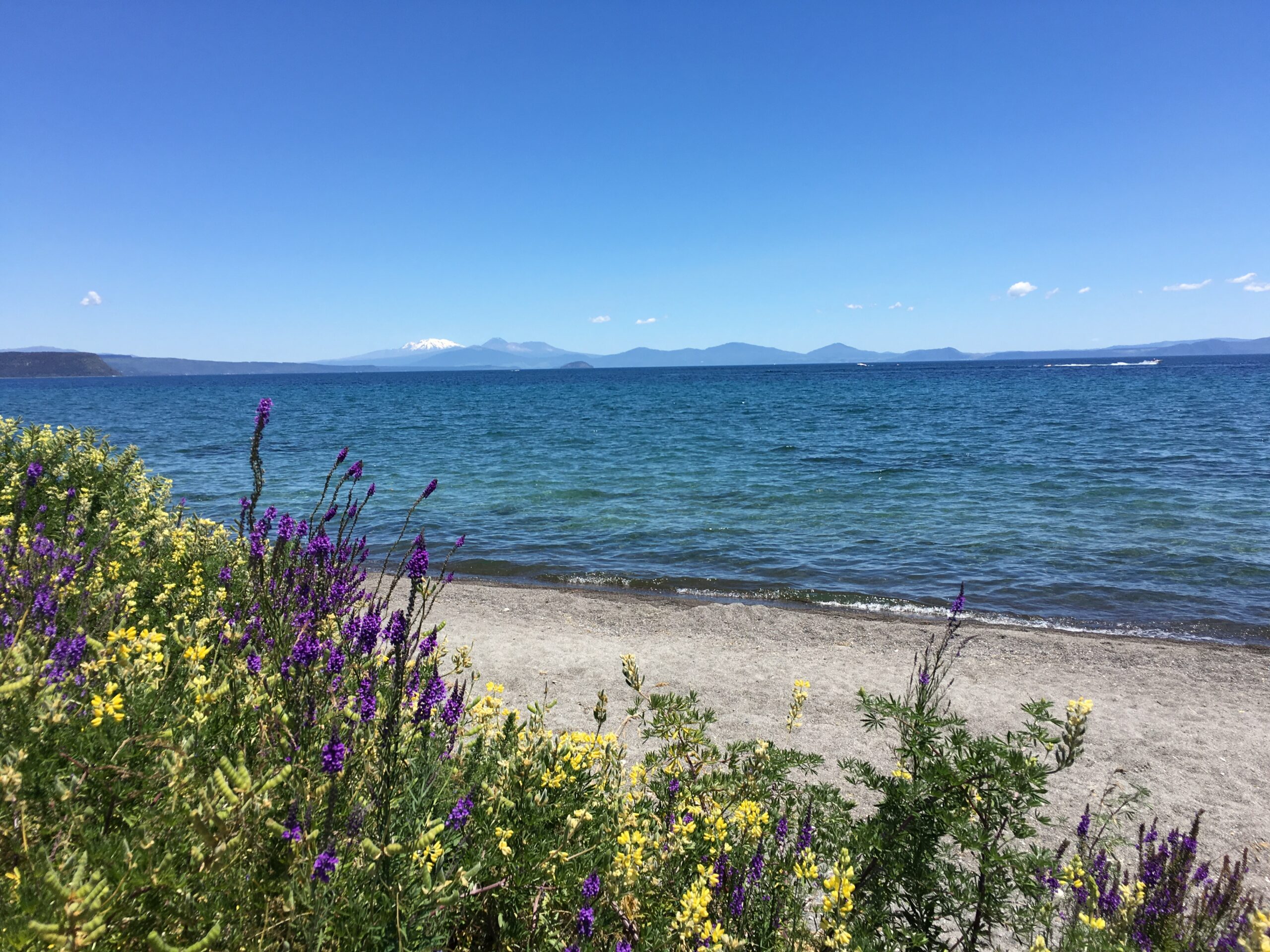 Lake Taupo