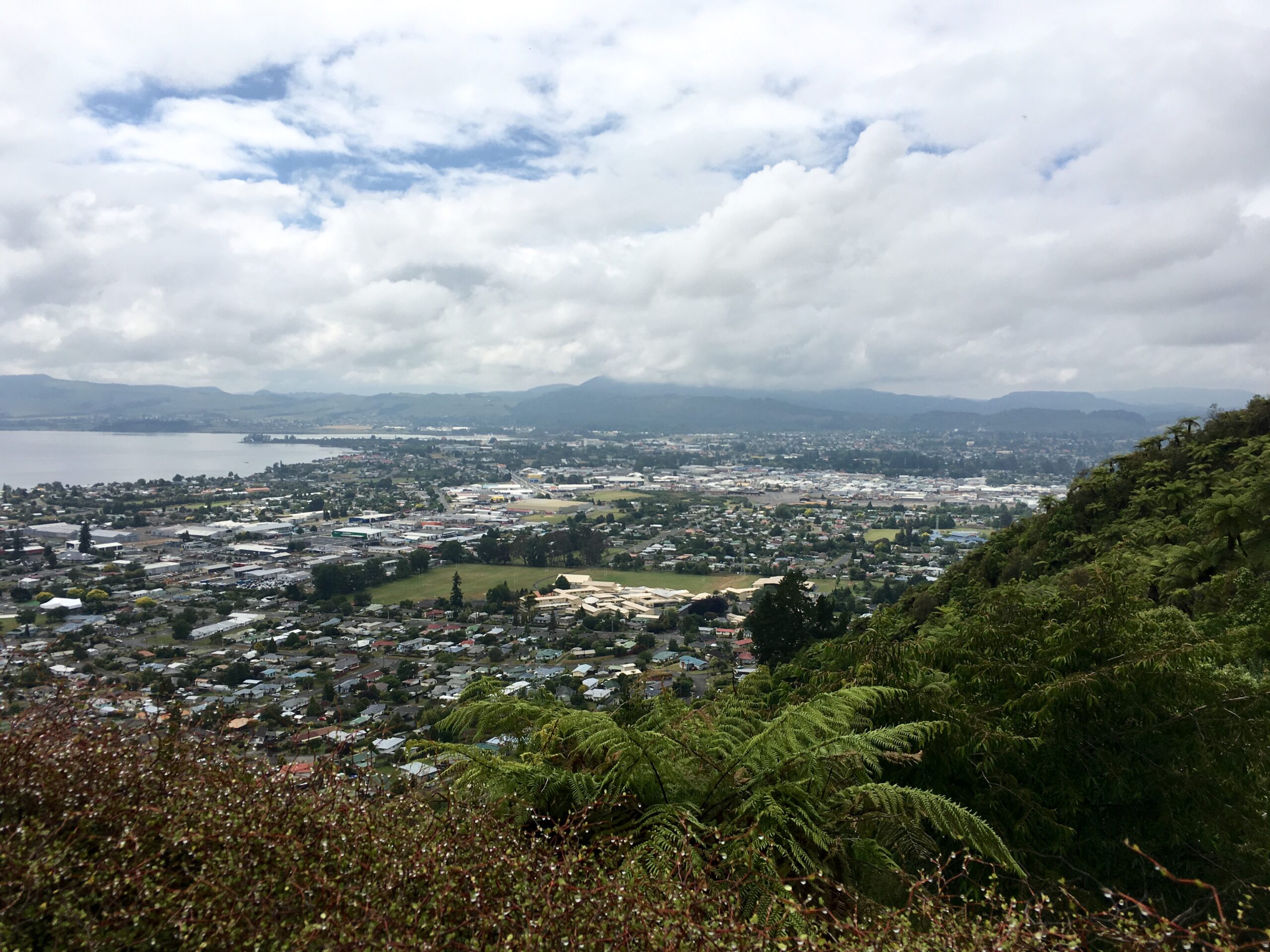 Overlooking Rotorua